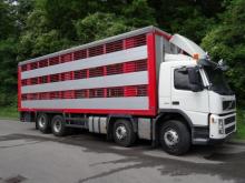 Tiertransporter Ankauf für den Export
